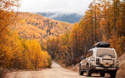 Get Your Car Ready for Fall: Top Detailing Tips