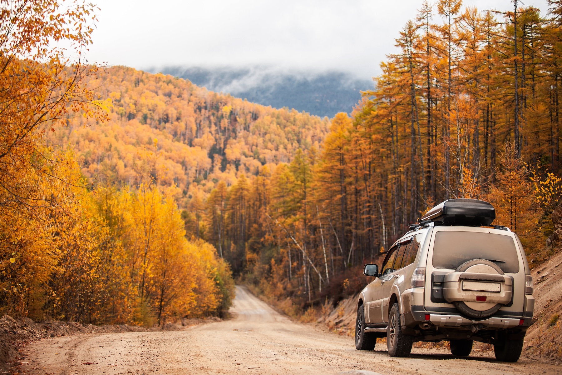 Get Your Car Ready for Fall: Top Detailing Tips