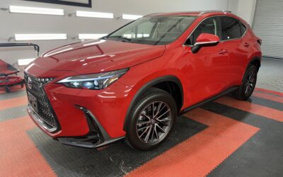 Paint Correction for a 2024 Lexus NX250 in Raleigh, NC